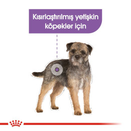 Sterilised Loaf Yetişkin Köpek Yaş Maması 12 x 85 g