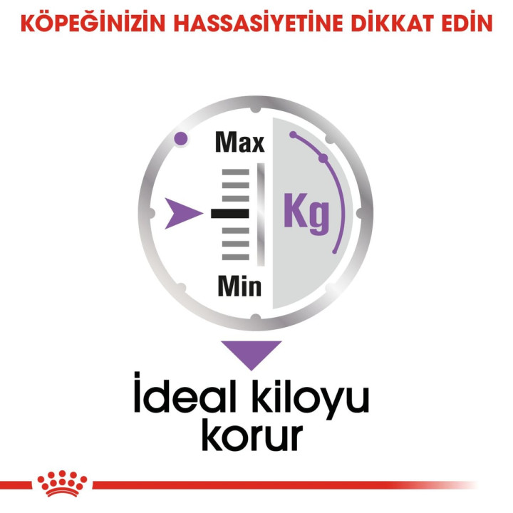 Sterilised Loaf Yetişkin Köpek Yaş Maması 12 x 85 g