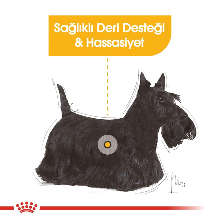 Dermacomfort Loaf Yetişkin Köpek Yaş Maması 12 x 85 g