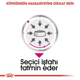 Exigent Loaf Yetişkin Köpek Yaş Maması 12 x 85 g
