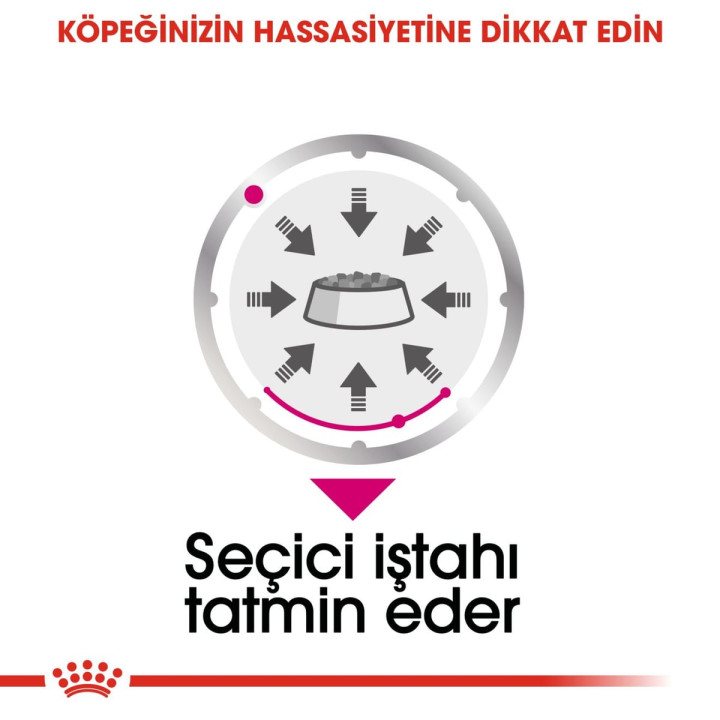 Exigent Loaf Yetişkin Köpek Yaş Maması 12 x 85 g