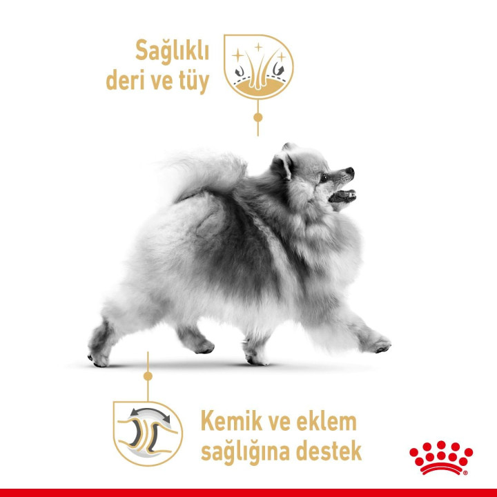 Pomeranian Adult Loaf Yetişkin Köpek Yaş Maması 12 x 85 g