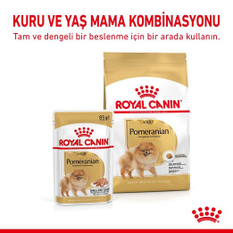 Pomeranian Adult Loaf Yetişkin Köpek Yaş Maması 12 x 85 g