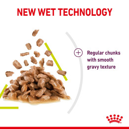 Sensory Smell Gravy Yetişkin Kedi Yaş Maması 12 x 85 g