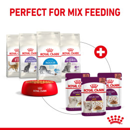 Sensory Smell Gravy Yetişkin Kedi Yaş Maması 12 x 85 g