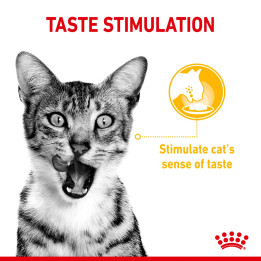 Sensory Taste Yetişkin Kedi Yaş Maması 12 x 85 g