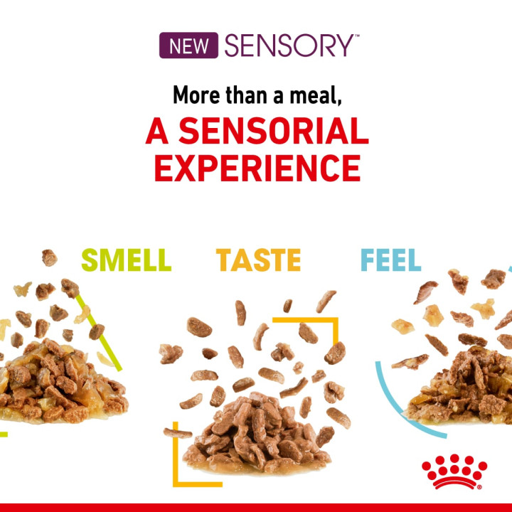 Sensory Taste Yetişkin Kedi Yaş Maması 12 x 85 g