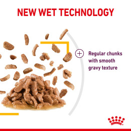 Sensory Taste Yetişkin Kedi Yaş Maması 12 x 85 g