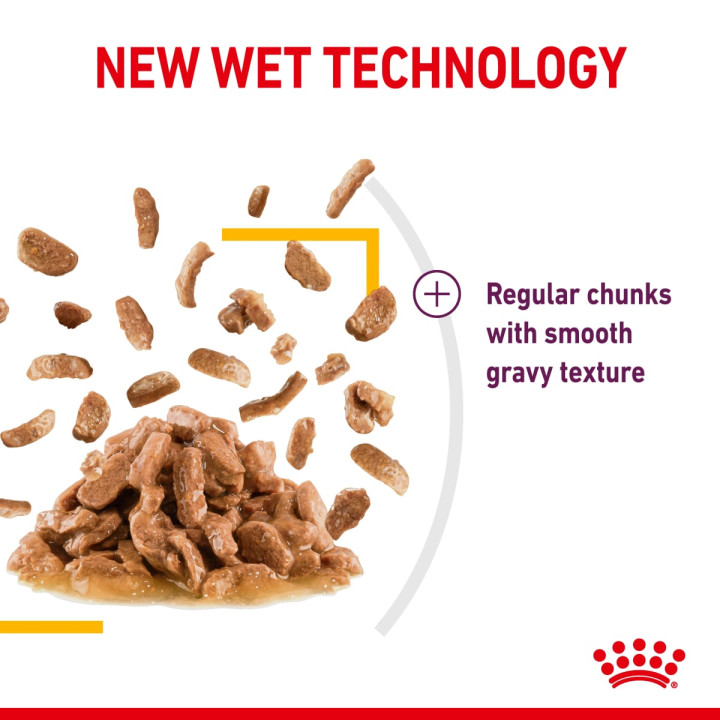 Sensory Taste Yetişkin Kedi Yaş Maması 12 x 85 g