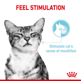 Sensory Feel Gravy Yetişkin Kedi Yaş Maması 12 x 85 g