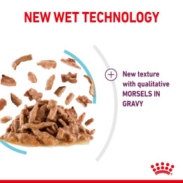 Sensory Feel Gravy Yetişkin Kedi Yaş Maması 1 x 85 g