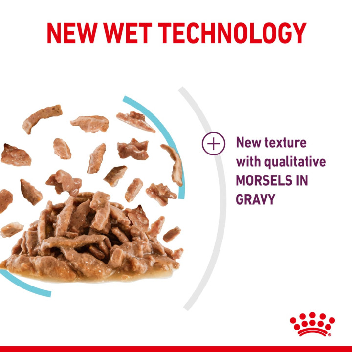 Sensory Feel Gravy Yetişkin Kedi Yaş Maması 1 x 85 g
