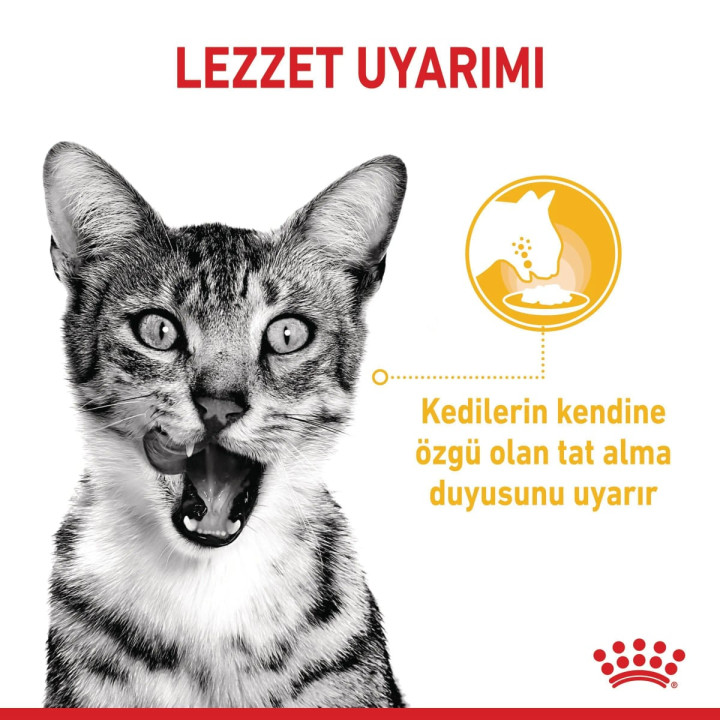 Sensory Multipack Yetişkin Kedi Yaş Maması 12 x 85 g