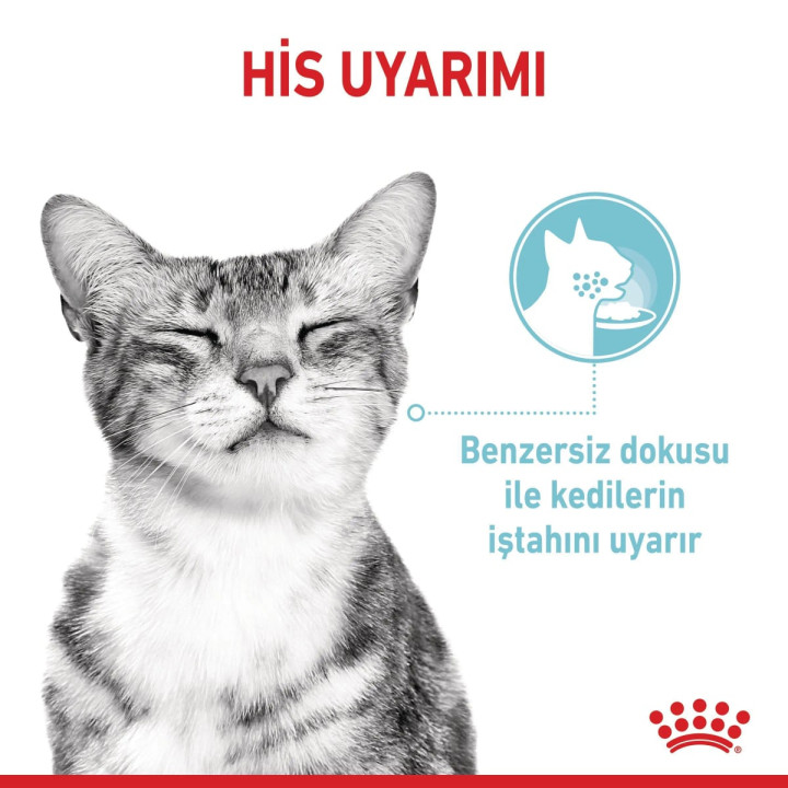 Sensory Multipack Yetişkin Kedi Yaş Maması 12 x 85 g