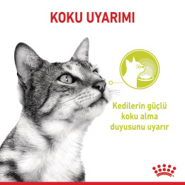 Sensory Multipack Yetişkin Kedi Yaş Maması 12 x 85 g