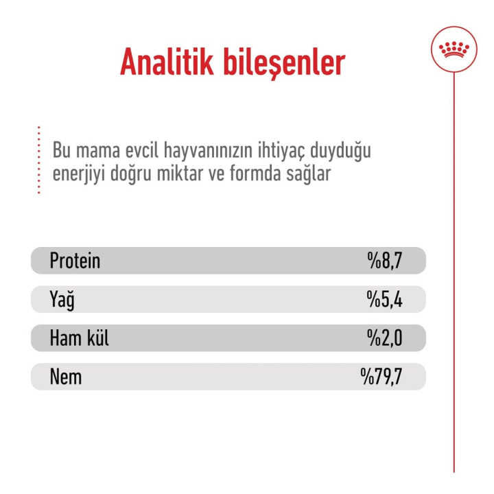 Medium Adult Can Yetişkin Köpek Yaş Maması 1 x 410 g