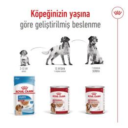 Medium Adult Can Yetişkin Köpek Yaş Maması 1 x 410 g