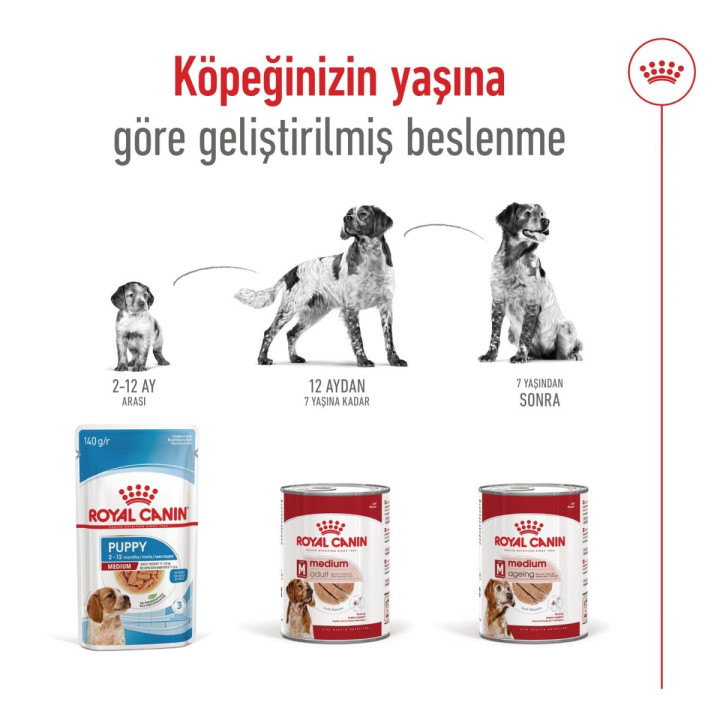 Medium Adult Can Yetişkin Köpek Yaş Maması 1 x 410 g