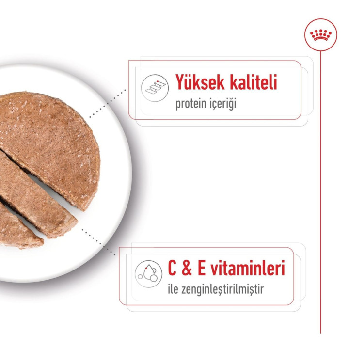 Medium Adult Can Yetişkin Köpek Yaş Maması 1 x 410 g