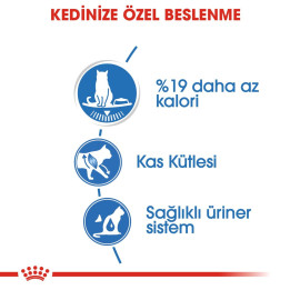 Light Weight Care Gravy Yetişkin Kedi Yaş Maması 12 x 85 g