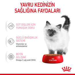 Kitten Gravy Yavru Kedi Yaş Maması 12 x 85 g