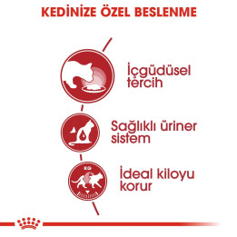 Instinctive Jelly Yetişkin Kedi Yaş Maması 12 x 85 g