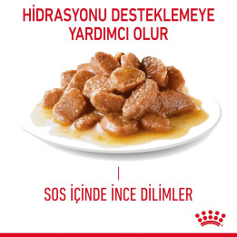 Digestive Care Yetişkin Kedi Yaş Maması 12 x 85 g