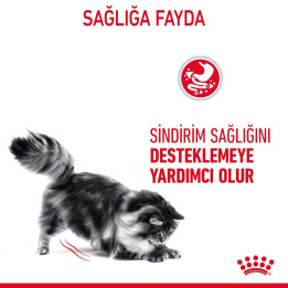 Digestive Care Yetişkin Kedi Yaş Maması 12 x 85 g