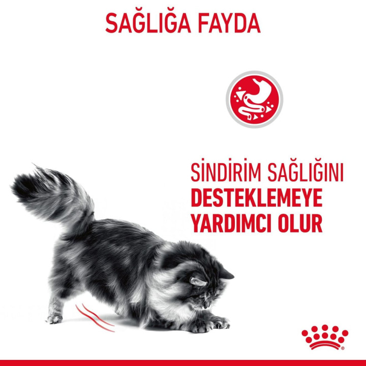 Digestive Care Yetişkin Kedi Yaş Maması 12 x 85 g