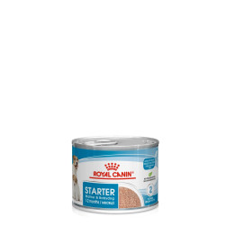 Starter Mousse Mother And Babydog Anne ve Yavru Köpek Yaş Maması 1 x 195 g