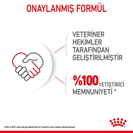 Starter Mousse Mother And Babydog Anne ve Yavru Köpek Yaş Maması 1 x 195 g