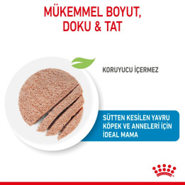 Starter Mousse Mother And Babydog Anne ve Yavru Köpek Yaş Maması 1 x 195 g