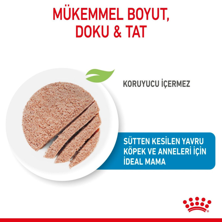 Starter Mousse Mother And Babydog Anne ve Yavru Köpek Yaş Maması 1 x 195 g