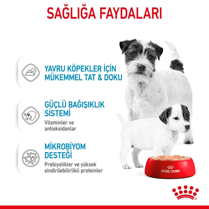 Starter Mousse Mother And Babydog Anne ve Yavru Köpek Yaş Maması 1 x 195 g
