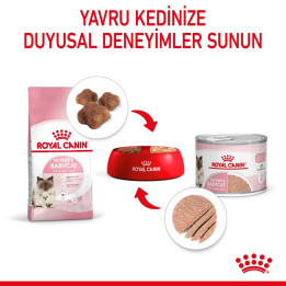 Mother And Babycat Ultra Soft Mousse Anne ve Yavru Kedi Yaş Maması 1 x 195 g
