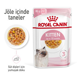 Kitten Jelly Yavru Kedi Yaş Maması 12 x 85 g