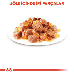 Hair & Skin Jelly Yetişkin Kedi Yaş Maması 12 x 85 g