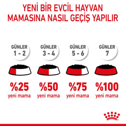 Kitten Loaf Yavru Kedi Yaş Maması 12 x 85 g