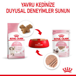 Kitten Loaf Yavru Kedi Yaş Maması 12 x 85 g
