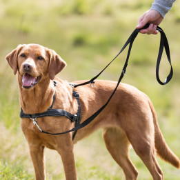 Training Harness Lead'n'Walk Soft