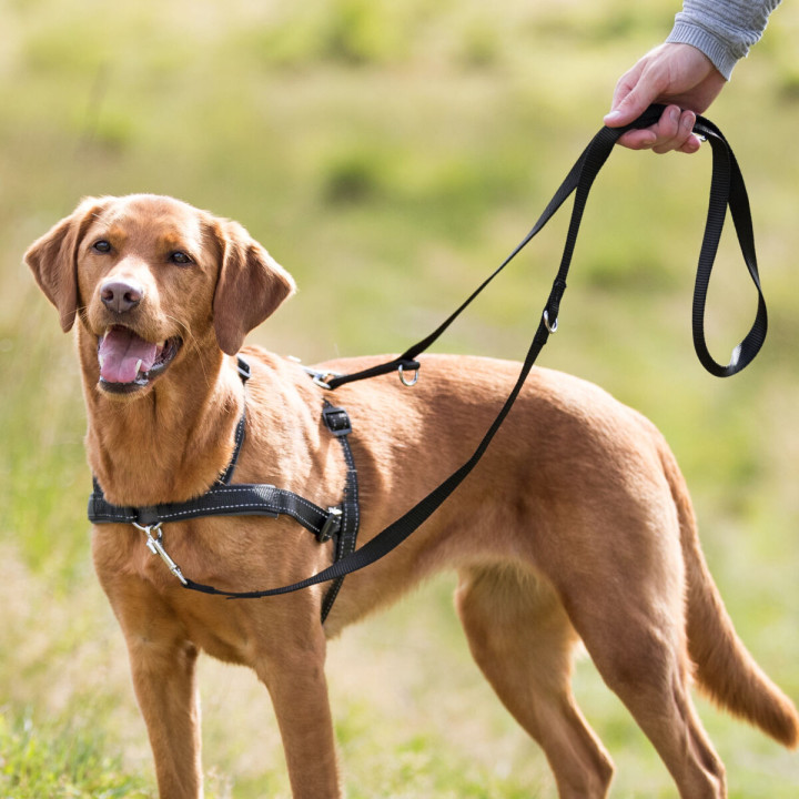 Training Harness Lead'n'Walk Soft