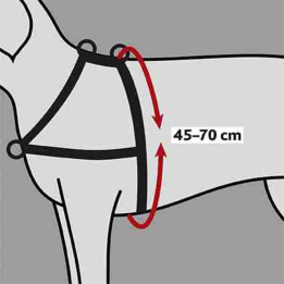 Training Harness Lead'n'Walk Soft