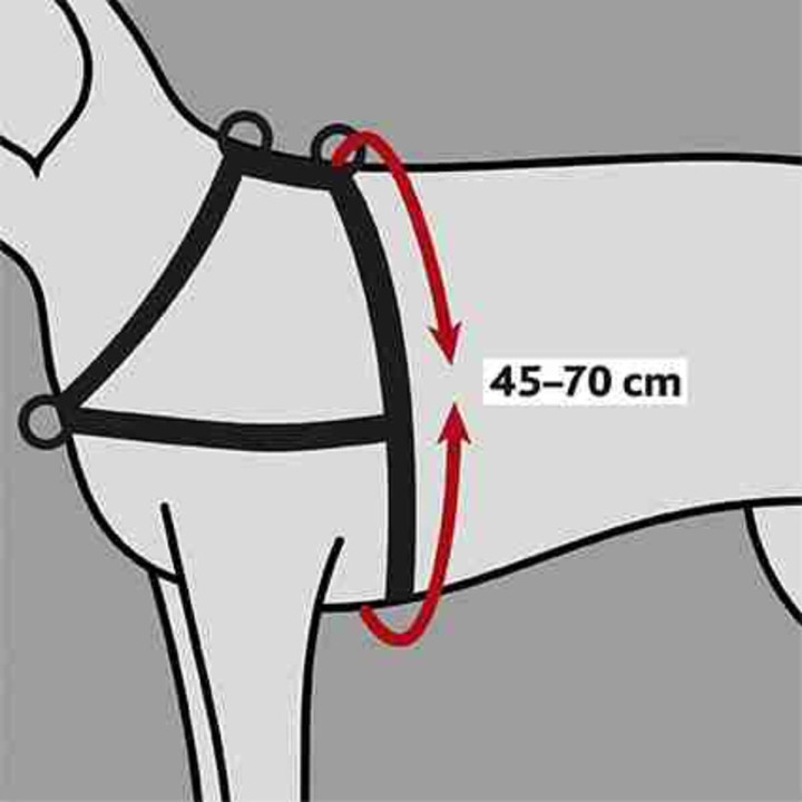 Training Harness Lead'n'Walk Soft