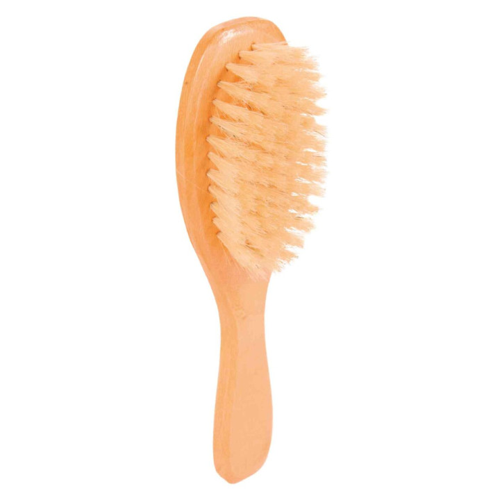 Brush