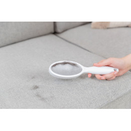 Lint Brush