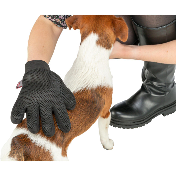 Fur Care Glove