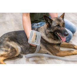 Grooming Kit