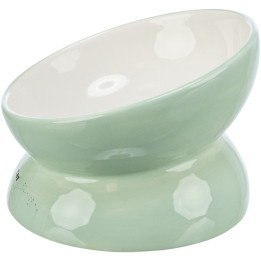 Ceramic Bowl