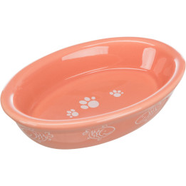 Ceramic Bowl