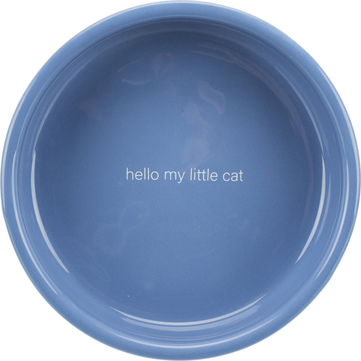 Ceramic Bowl